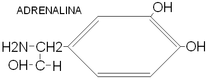 0x08 graphic