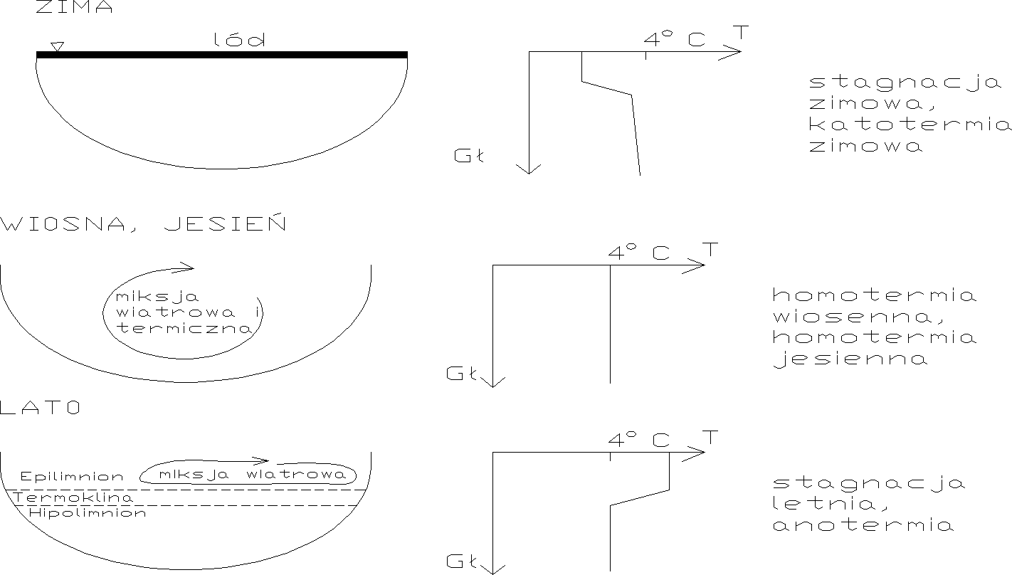 0x08 graphic