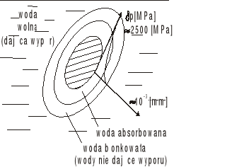 0x08 graphic