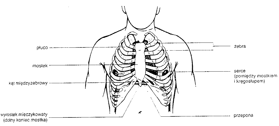 0x08 graphic