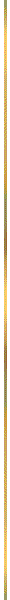 0x08 graphic