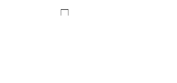 0x08 graphic