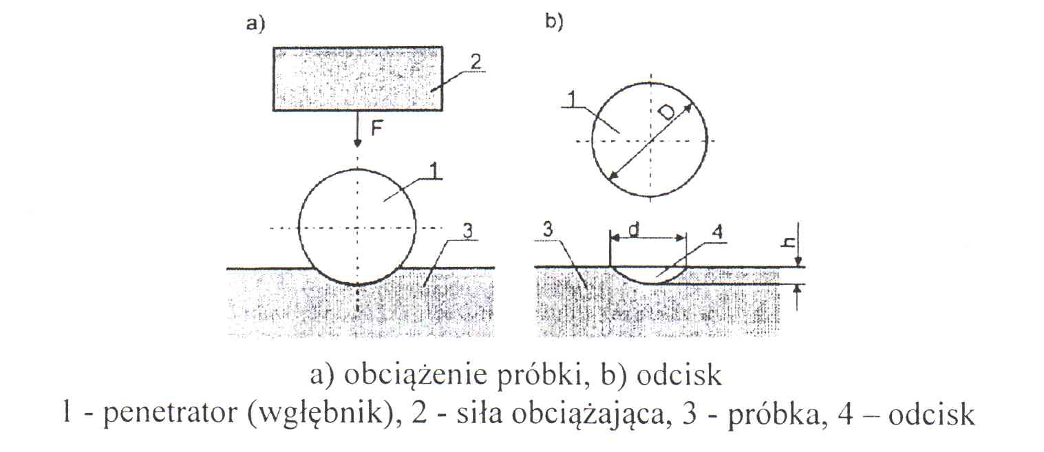 0x08 graphic