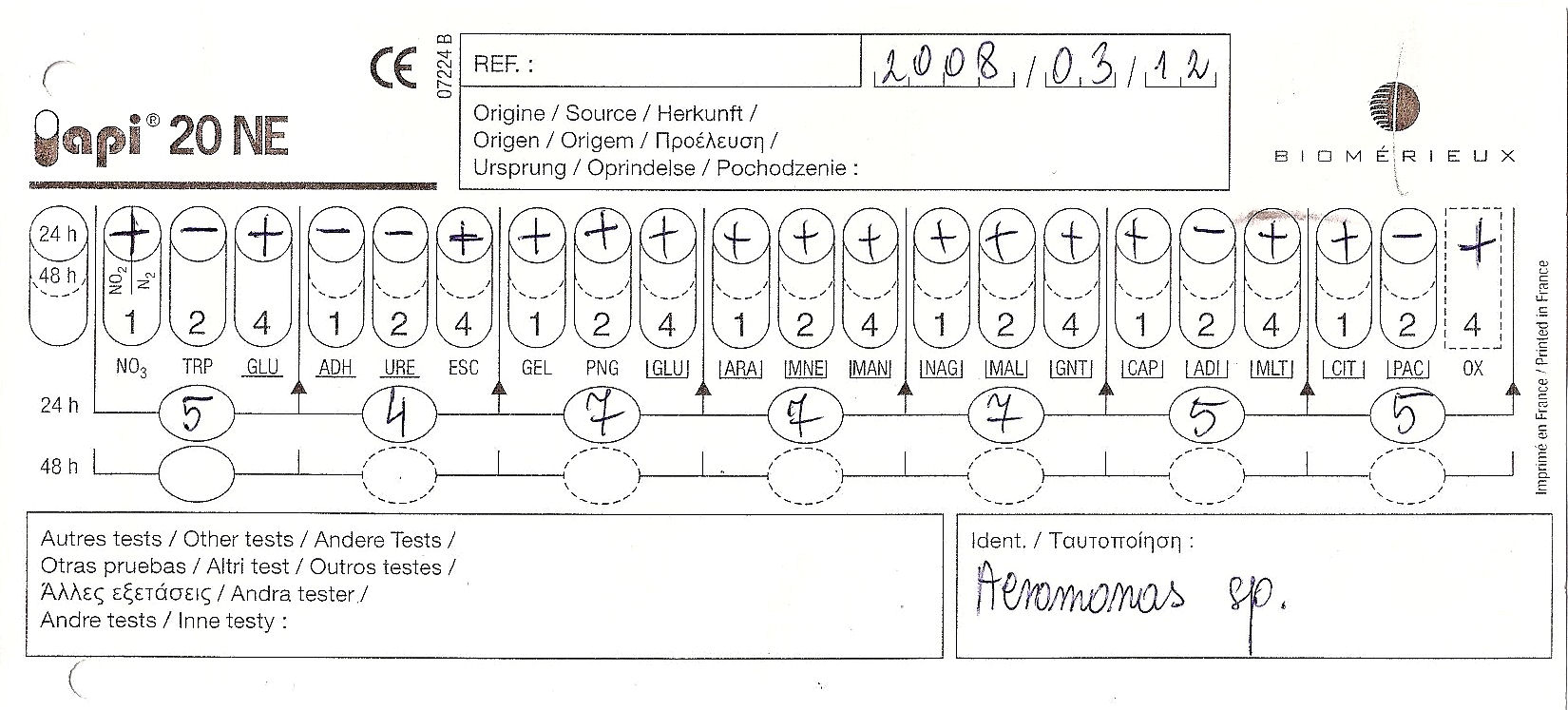 0x08 graphic