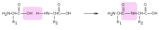 0x08 graphic