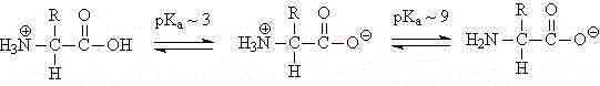 0x08 graphic