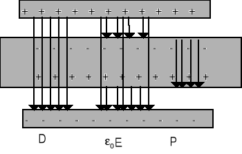 0x08 graphic