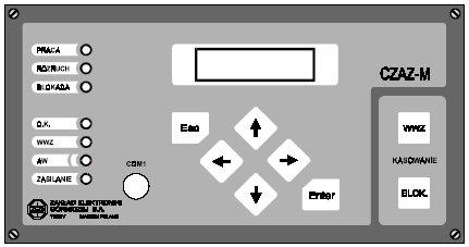 0x08 graphic