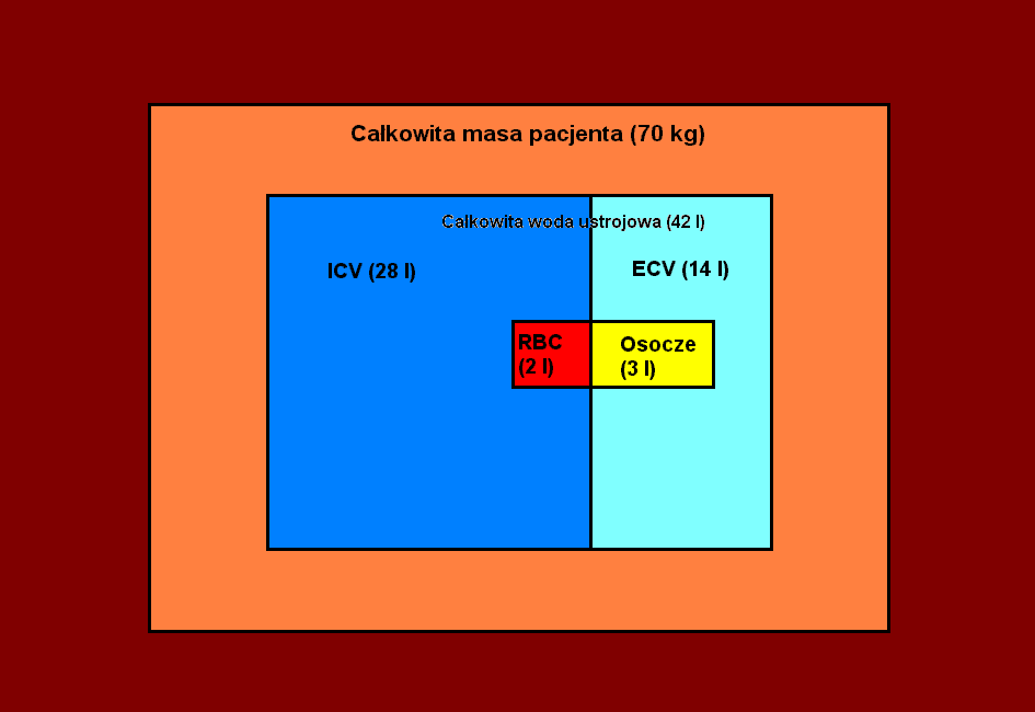 0x08 graphic