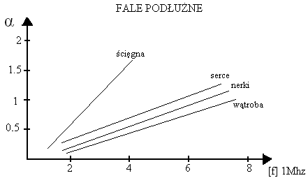 0x08 graphic