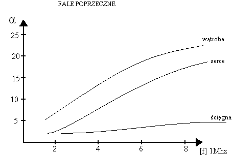 0x08 graphic