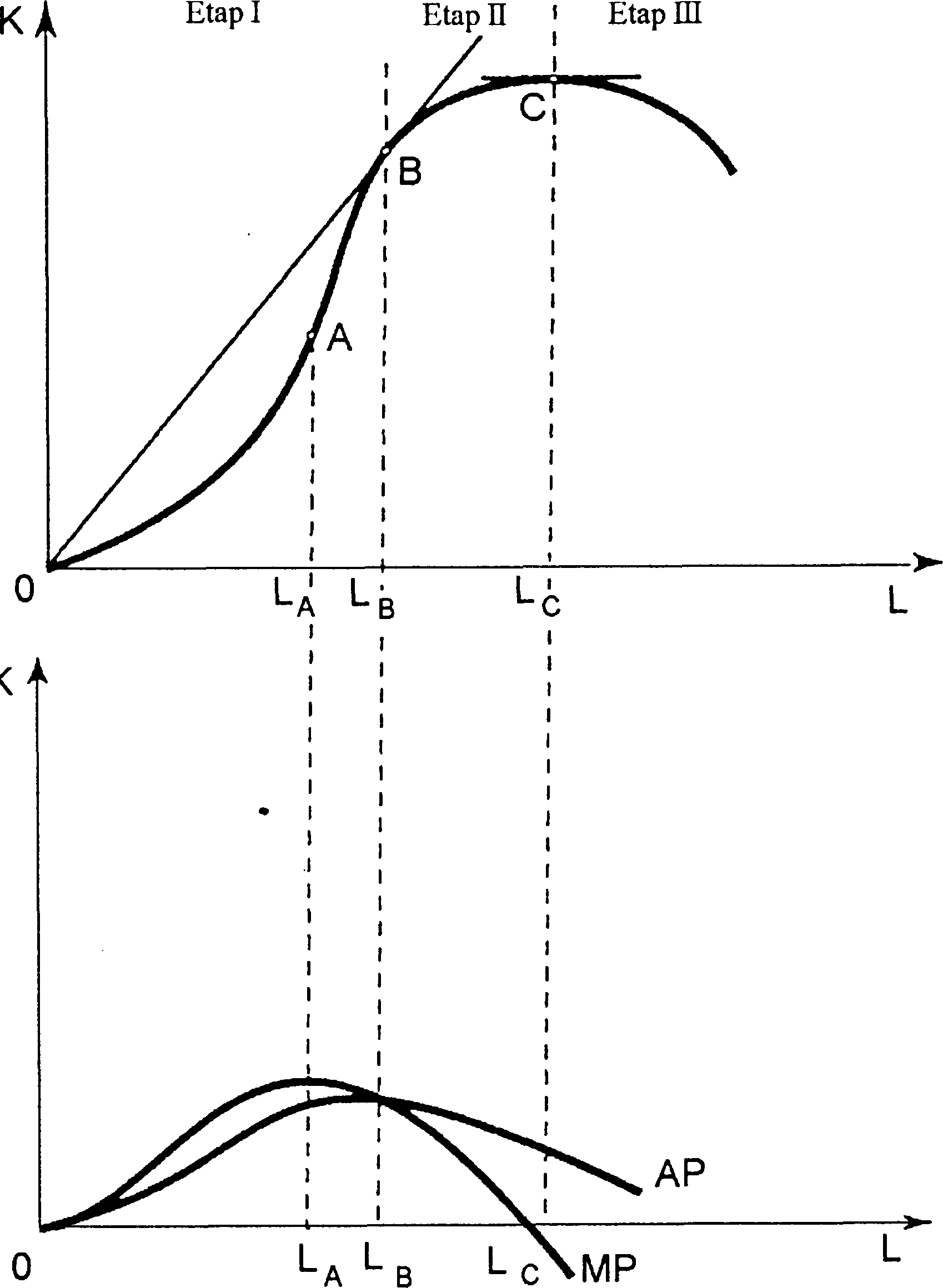 0x08 graphic