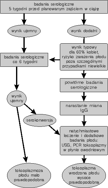 0x08 graphic