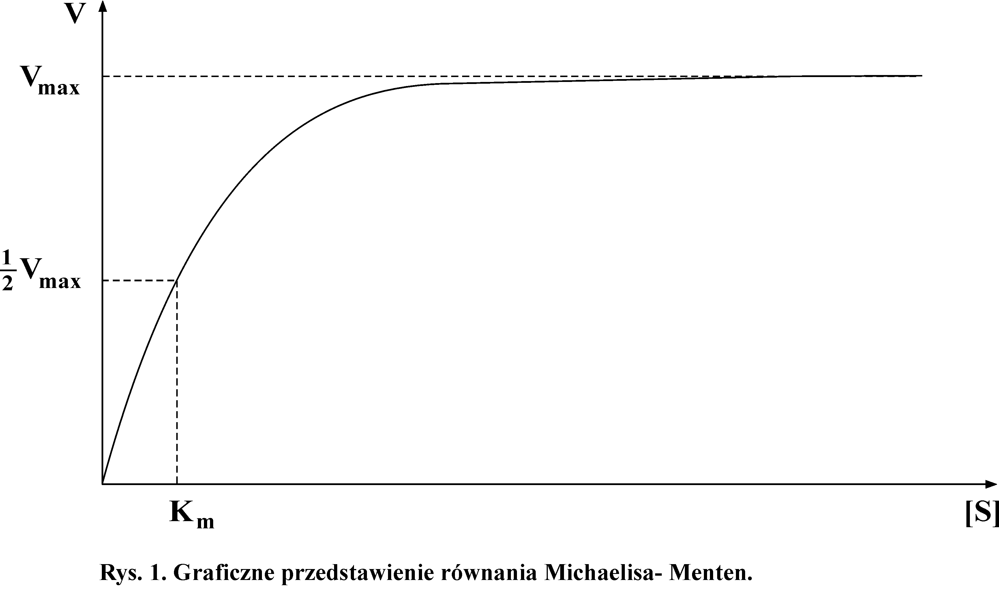 0x08 graphic