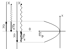 0x08 graphic