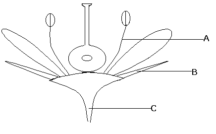 0x08 graphic