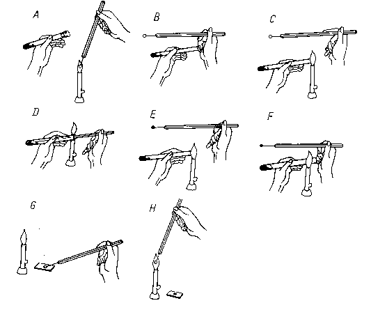 0x08 graphic