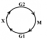 0x08 graphic