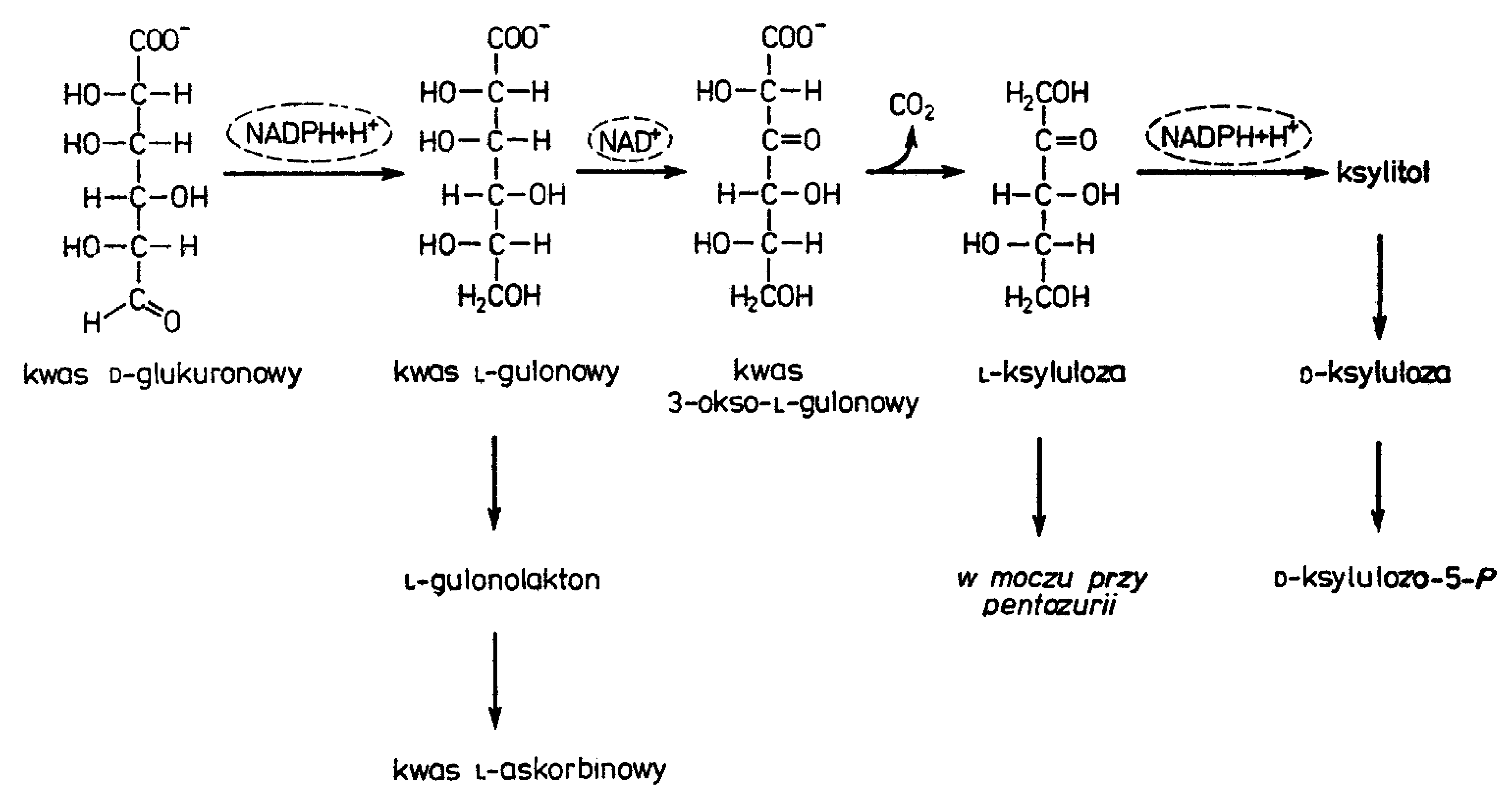 0x08 graphic