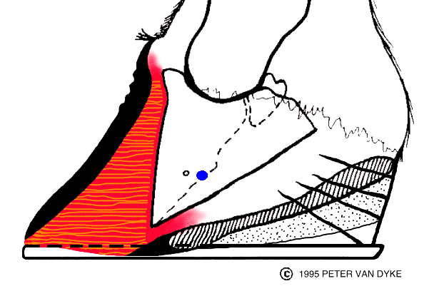 0x08 graphic