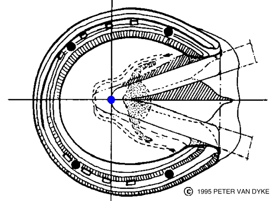 0x08 graphic