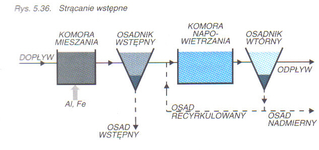 0x08 graphic