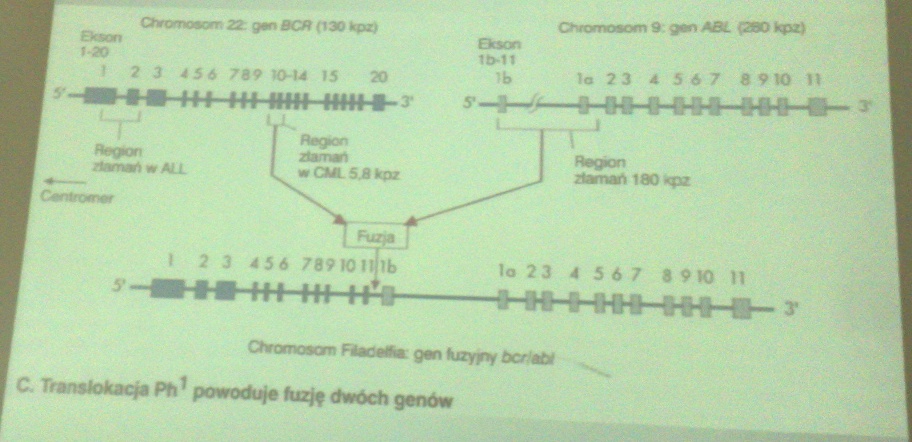 0x08 graphic