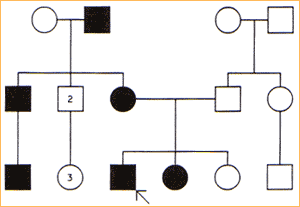 0x08 graphic