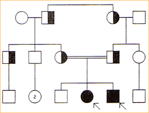 0x08 graphic