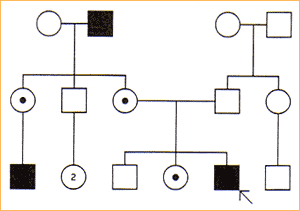 0x08 graphic