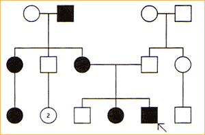 0x08 graphic