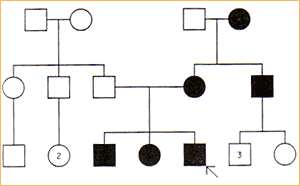 0x08 graphic