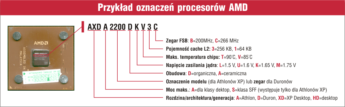 0x08 graphic