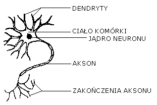 0x08 graphic