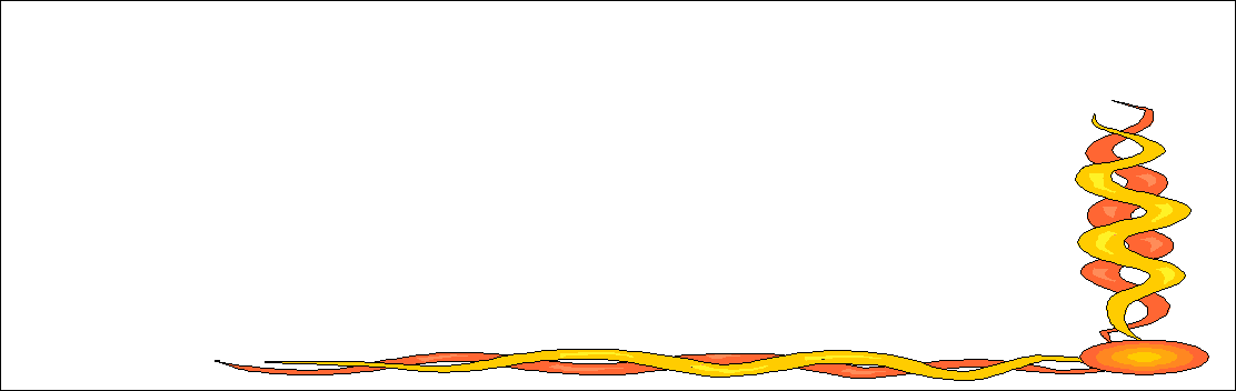 0x08 graphic