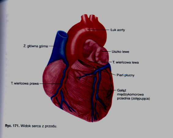 0x08 graphic