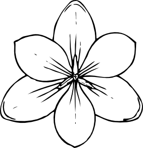 0x08 graphic