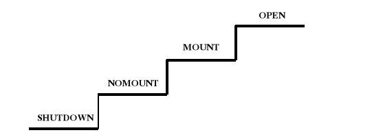 0x08 graphic