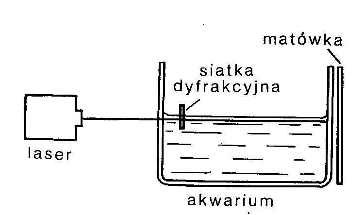 0x08 graphic