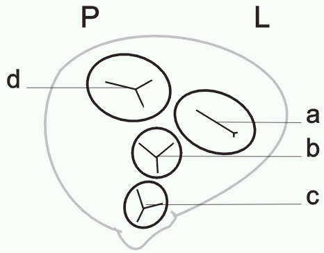 0x08 graphic