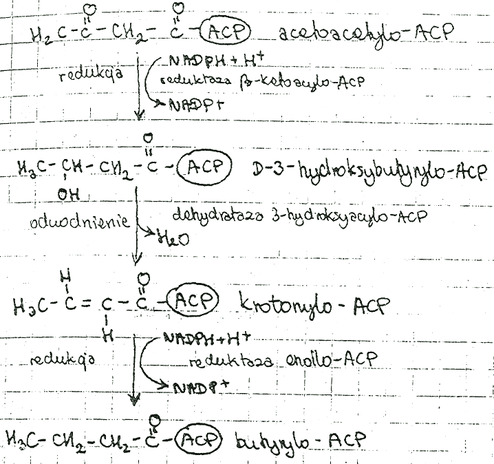 0x08 graphic