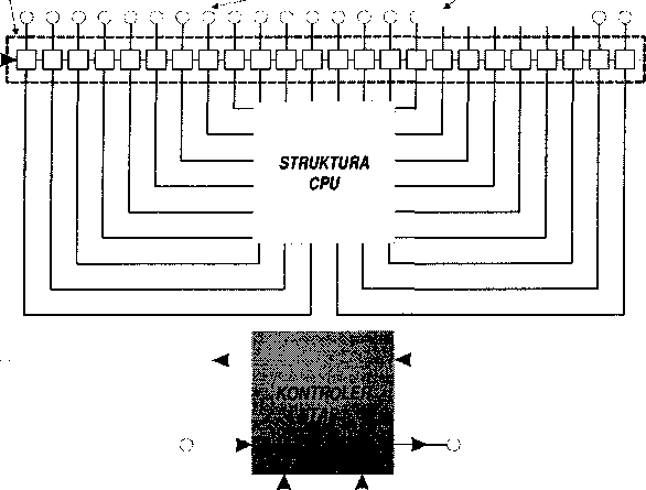 0x08 graphic