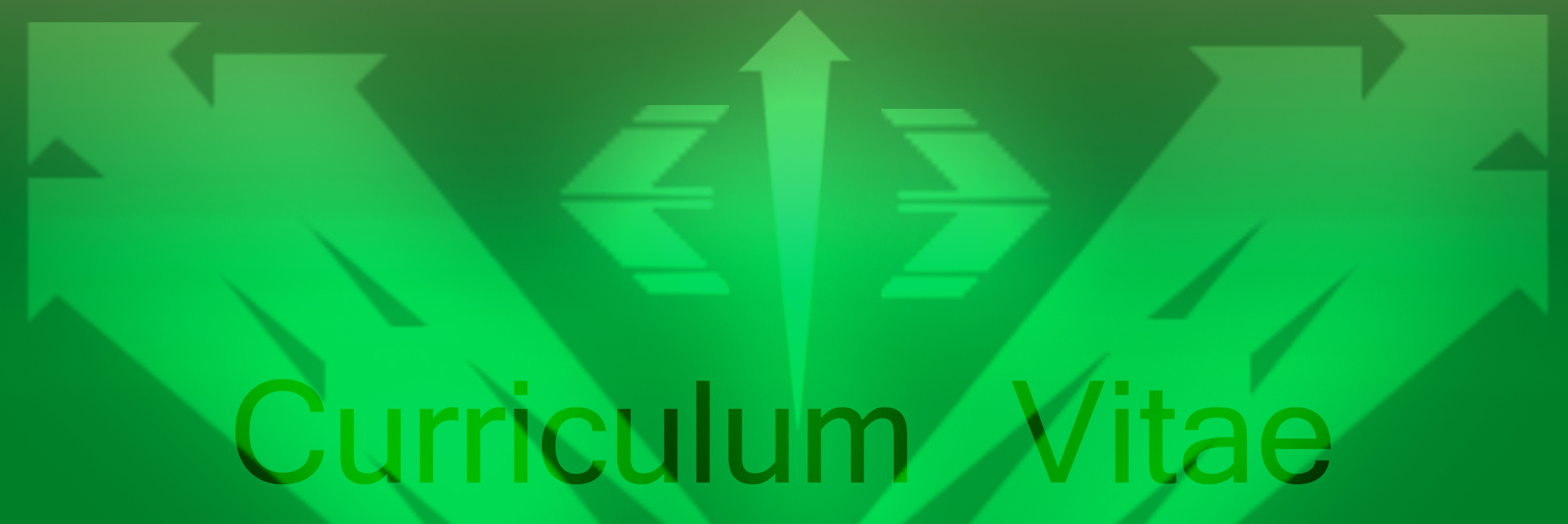 0x08 graphic