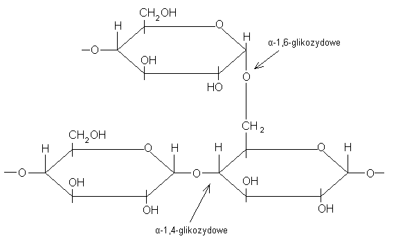 0x08 graphic