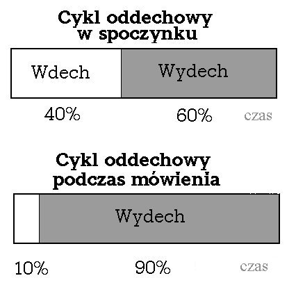 0x08 graphic