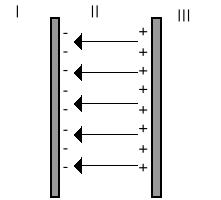 0x08 graphic