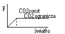 0x08 graphic