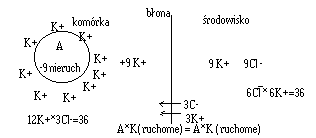 0x08 graphic