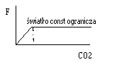 0x08 graphic